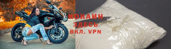 гидра Абаза