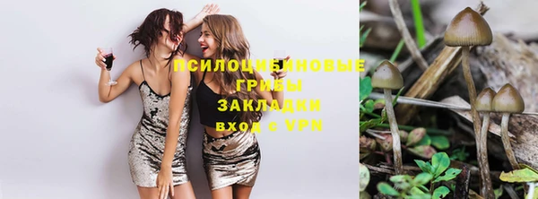a pvp Абдулино