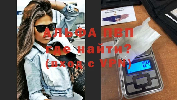 гидра Абаза