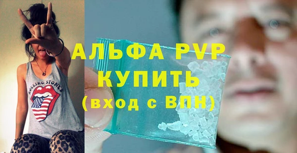 гидра Абаза