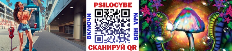 Галлюциногенные грибы Psilocybe  купить закладку  Туран 